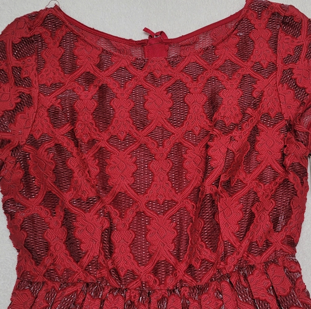 Anthropologie Moulinette Soeurs Rubied Lace Dress Fit & Flare Pleated Mini Dress - Picture 3 of 13
